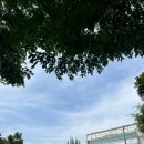 난소 물혹 자궁내막증, 자궁 근종 로봇수술 - 이대목동병원 김보라 교수님 2 / 수술 및 퇴원