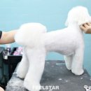 고미발톱 이미지