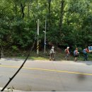 곰재농장 이미지