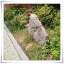 의병제주보존회 | 고창 - 오거리 당산