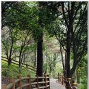 용연·용두암 이미지