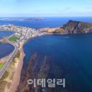 엠엠피 이미지
