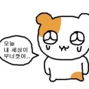 토마토PC방 이미지