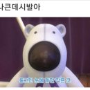 국시세상 이미지