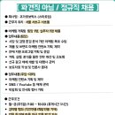 아이비기획