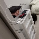 에이아이클린 - 제주시 동화로1길 49-7 | [오사카] 초기 정착 물품 추천 및 보조배터리 수거 요청
