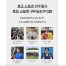 WPI 100% 고단백질 운동 보충제 하이퍼 프로틴 퍼포먼스 단백질 쉐이크 추천
