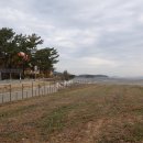 지용산인 이미지