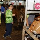 강진완도축산업협동조합 이미지