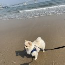 제이스테이 펜트하우스 이미지