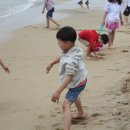 화진포해양박물관 이미지