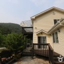 흙과소나무 이미지