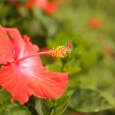 연못가든 이미지