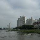 대구 여행(2) | 대구 러닝코스 신천강, 디귿, 번드시, 고스트북스, 모노하, 물비늘, 실상, 패트릭커피...