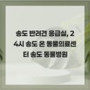 24시 송도 온 동물의료센터 | 송도 반려견 응급실, 24시 송도 온 동물의료센터 송도 동물병원