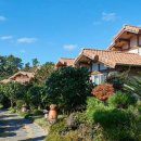 하우스세탁편의점 이미지