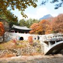 문경새재 이미지