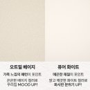 오크빌 올리 4인용 원목 식탁세트 월넛 후기｜식탁+의자2+벤치1 구성, 공간 활용 좋은 4인~6인 식탁 추천