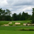 파인골프클럽 이미지