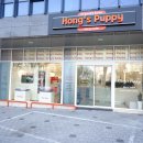 잘나가는 강아지 이미지