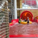 신화1교차로 4 이미지