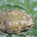 대명목욕탕 이미지