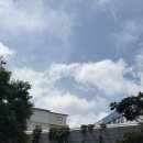 온누리성진약국 - 부산진구 연수로 49-1 | 온누리성진약국