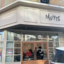 재키애견 | 남양주 별내 유기견 애견카페 뮤테 방문 후기