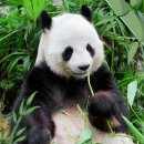 유아과학 이미지