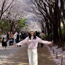 세븐일레븐 경의숲길점 | 경의선 숲길 벚꽃 터널 구간(대흥~공덕) 벚꽃 카페 4곳