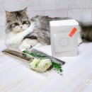 유어마이펫 이미지