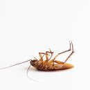 동보아파트 이미지