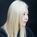 와이글로벌 이미지