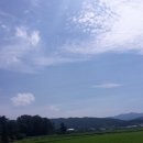 새소망고시원