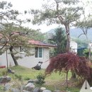 상록수농장 이미지