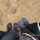 강남-181 이미지