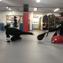 현 합기도 이미지