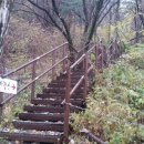 진산주 이미지