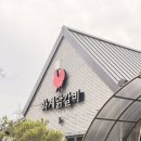동동숯불 | 춘천 현지인 맛집 닭갈비 추천 숯불 향 제대로인 화계닭갈비 후기
