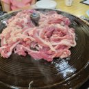 감골오리 이미지