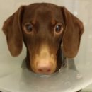 구서동물병원 이미지