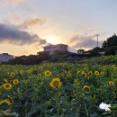 옥란 농장 이미지