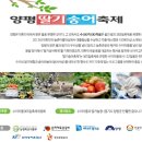 송어축제 이미지