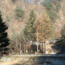 율전초 광문분교장 이미지