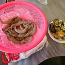 상주보 캠프존 휴 이미지