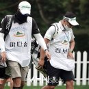 태양팜스 이미지