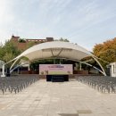 댕댕하개 이미지