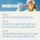 바디스토리