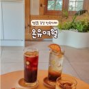 예스예스애견 | 온유여월 행궁동 감성 한옥카페, 예스키즈존 애견 동반 가능한 힐링 카페