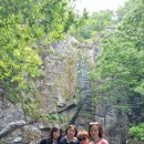 아이비의원 이미지